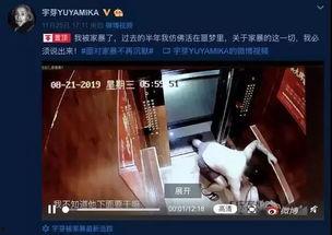 网红网友爆料视频大全最新,揭秘网络热点背后的真相  第3张